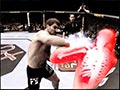 Ultimate Fighter: Unleashed